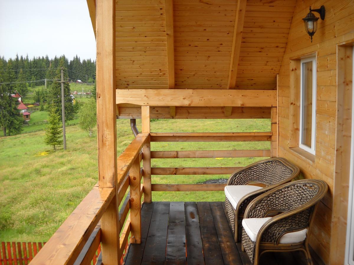 Villa Panorama Apuseni Beliş Exterior foto